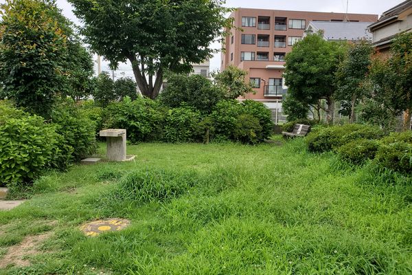 ヤマモモ公園