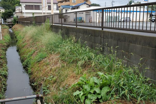 ヤマモモ公園