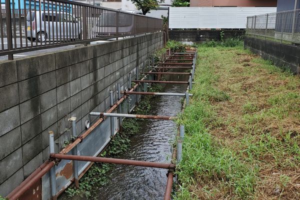 ヤマモモ公園