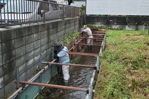 ヤマモモ公園