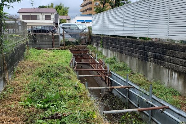 ヤマモモ公園