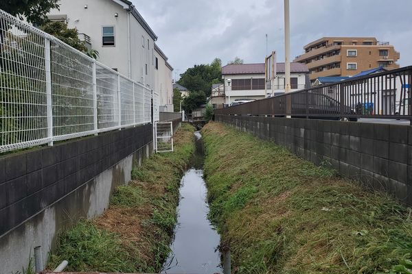 ヤマモモ公園
