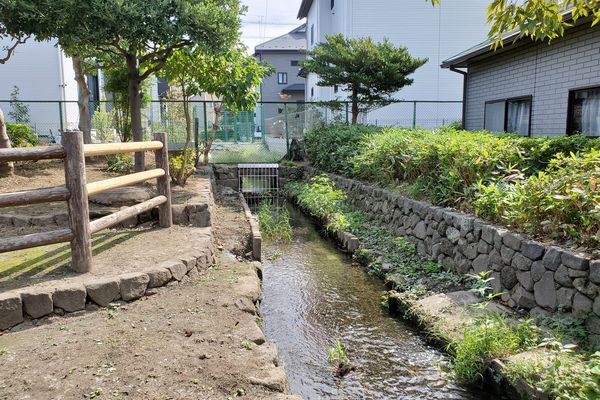 並木公民館