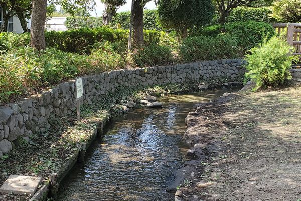 並木公民館