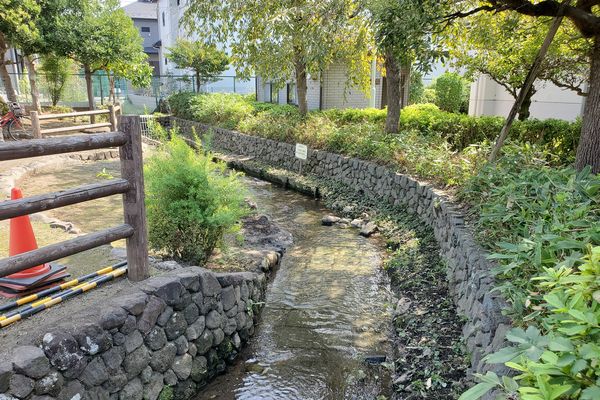 並木公民館