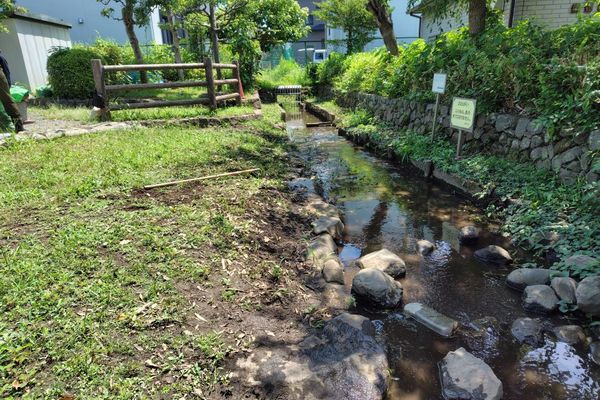 並木公民館