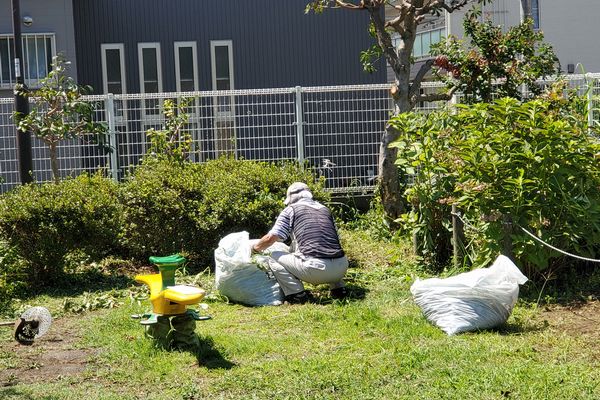 ヤマモモ公園