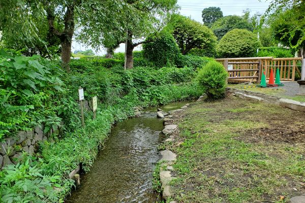 並木公民館