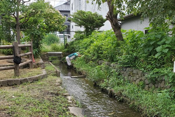 並木公民館