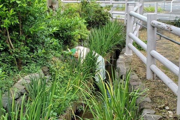 並木公民館