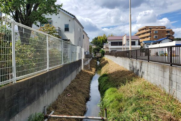 ヤマモモ公園