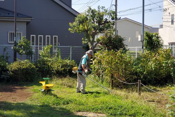 最近の活動写真