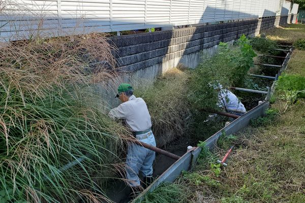 ヤマモモ公園