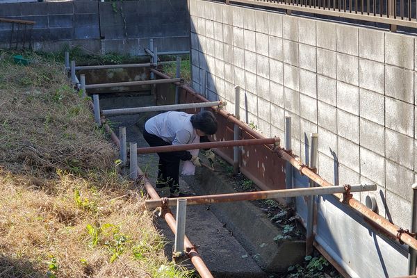 ヤマモモ公園