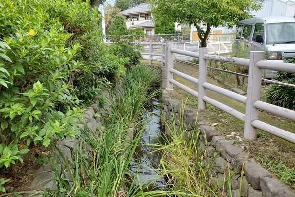 並木公民館