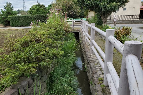 並木公民館