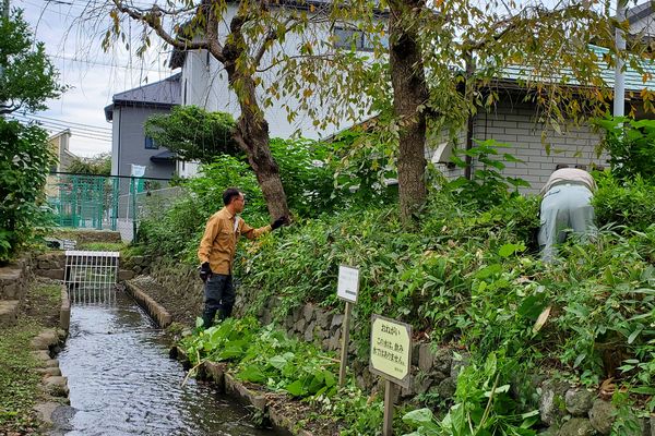 最近の活動写真