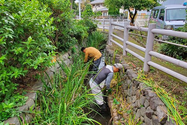 並木公民館