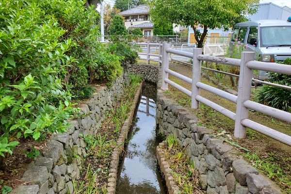 並木公民館