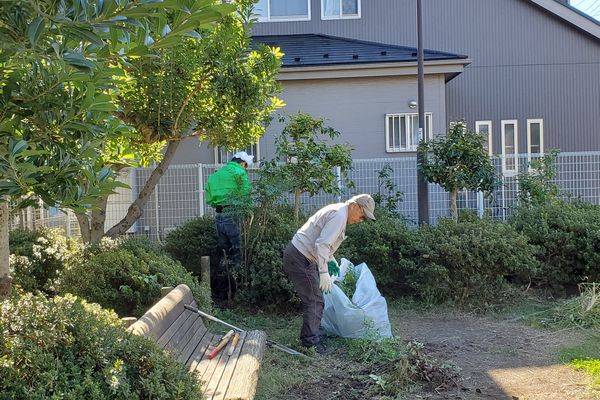 最近の活動写真