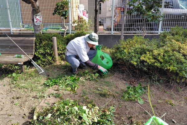 ヤマモモ公園