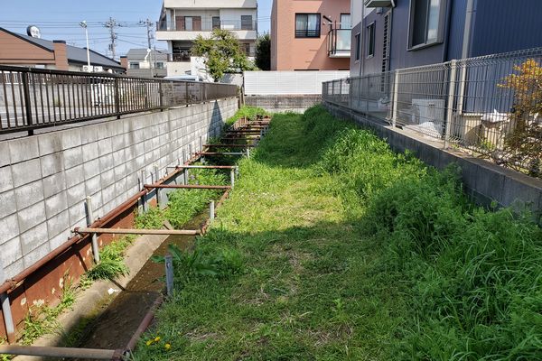 ヤマモモ公園