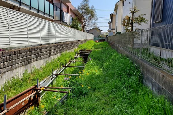 ヤマモモ公園