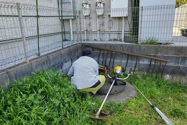ヤマモモ公園