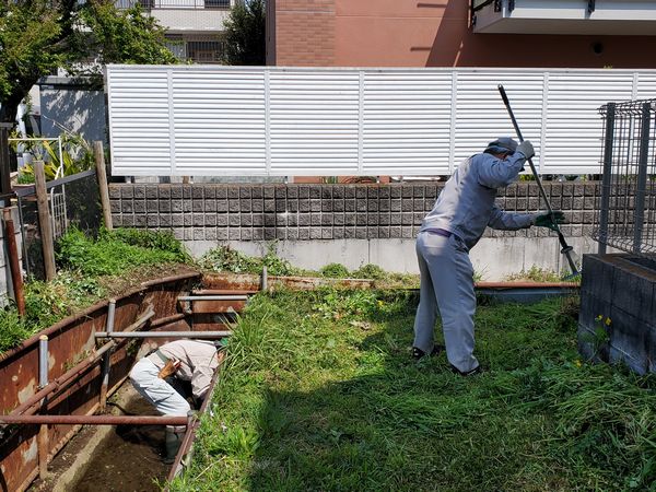 最近の活動写真
