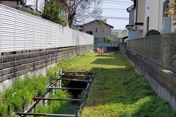 ヤマモモ公園