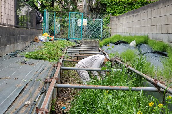 六小通り