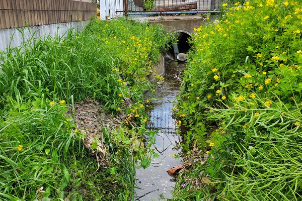 ヤマモモ公園