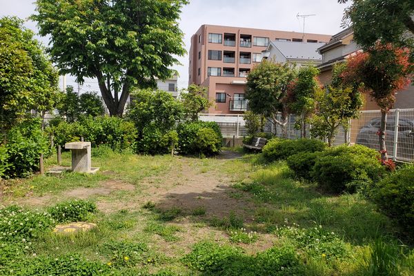 ヤマモモ公園