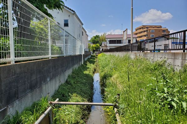 ヤマモモ公園