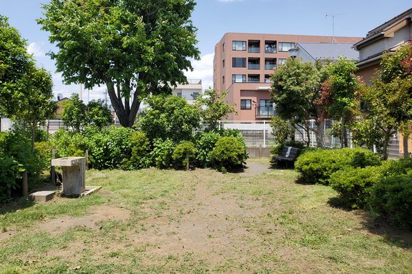 ヤマモモ公園