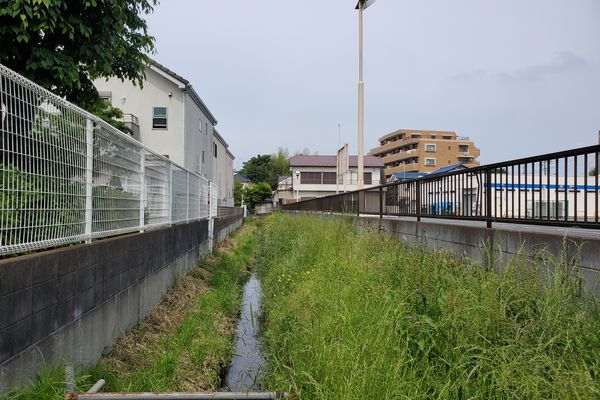 ヤマモモ公園