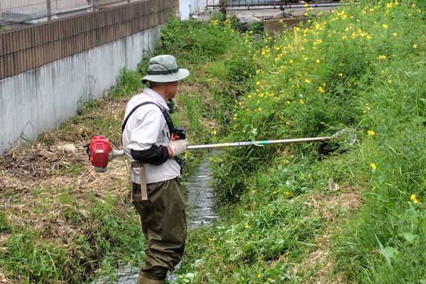 最近の活動写真