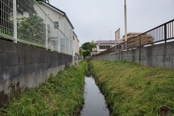 ヤマモモ公園