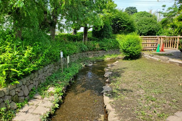 並木公民館