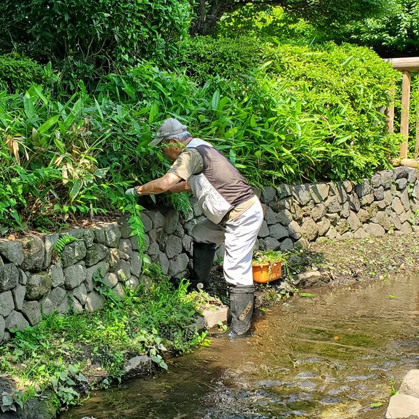 並木公民館