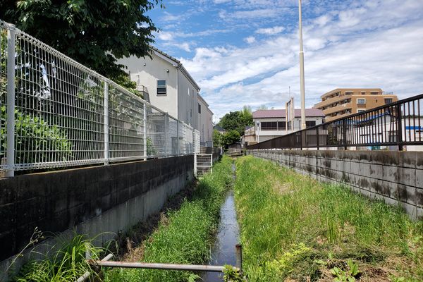 ヤマモモ公園