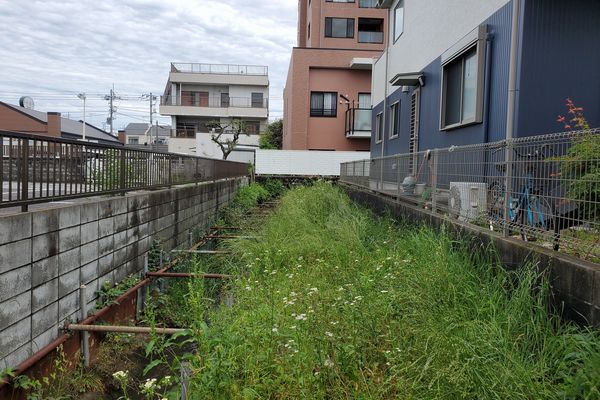 ヤマモモ公園