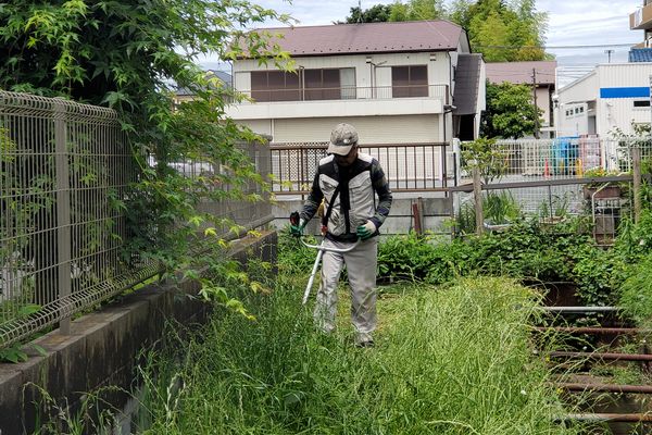 ヤマモモ公園
