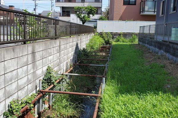 ヤマモモ公園
