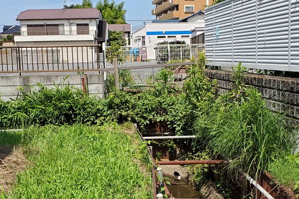 ヤマモモ公園