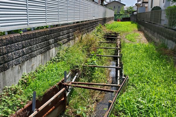 ヤマモモ公園