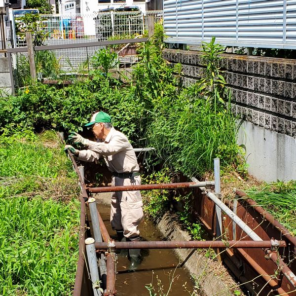 ヤマモモ公園