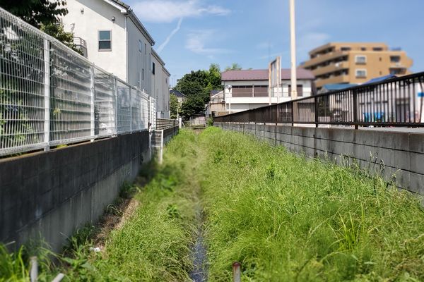 ヤマモモ公園