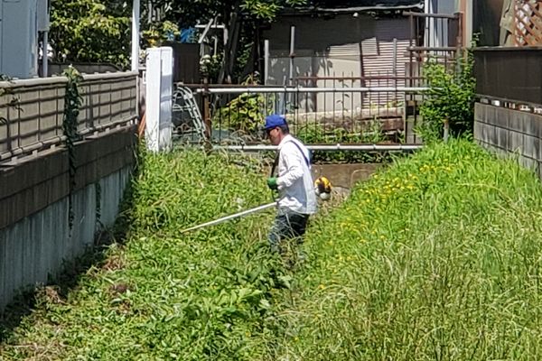 ヤマモモ公園