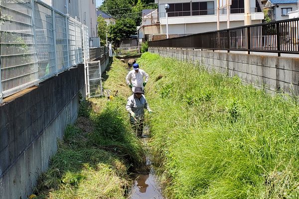 ヤマモモ公園